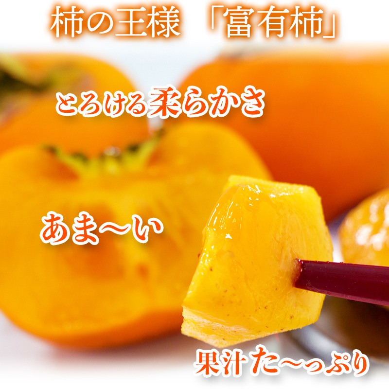 ͽ 2025ǯ11ܡ12ܤϤ 츩 ͭ 2L 24 6kg