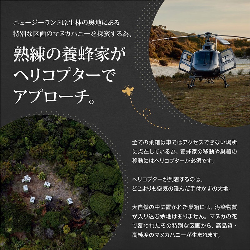 ڤ椦ѥåȡ ȥ롼ϥˡ ޥ̥  MGO400+(UMF13) 8γ 3  24γ 