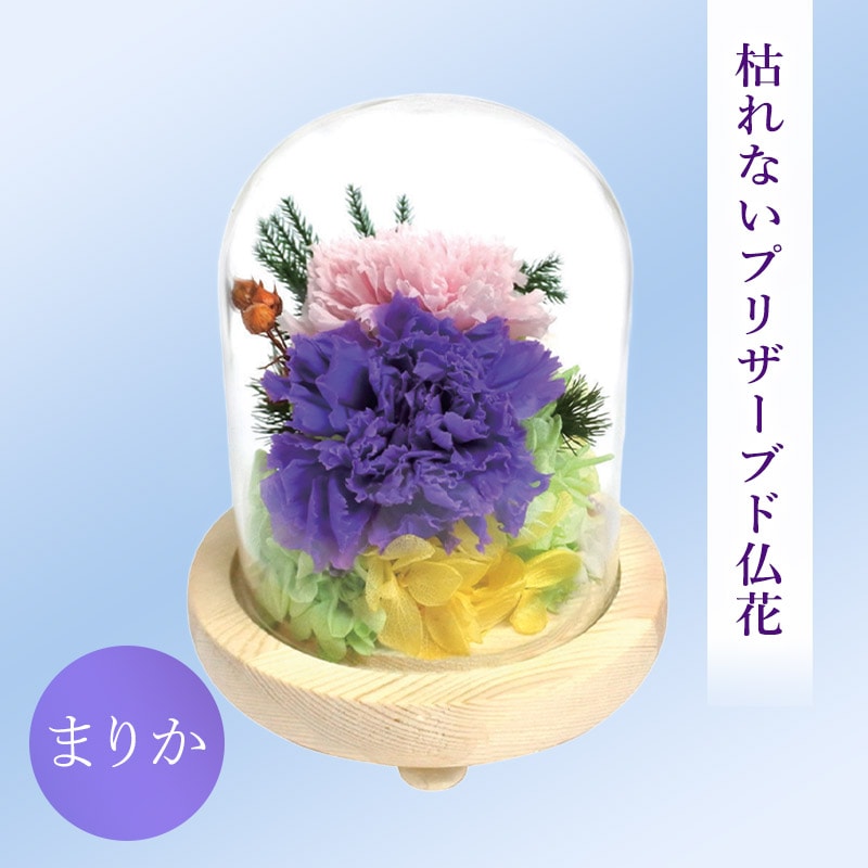 SOUP�����������饹�ɡ��ॢ��󥸥��ȡ��Ϥ�ʤ��ץꥶ���֥ɥե����ޤ꤫