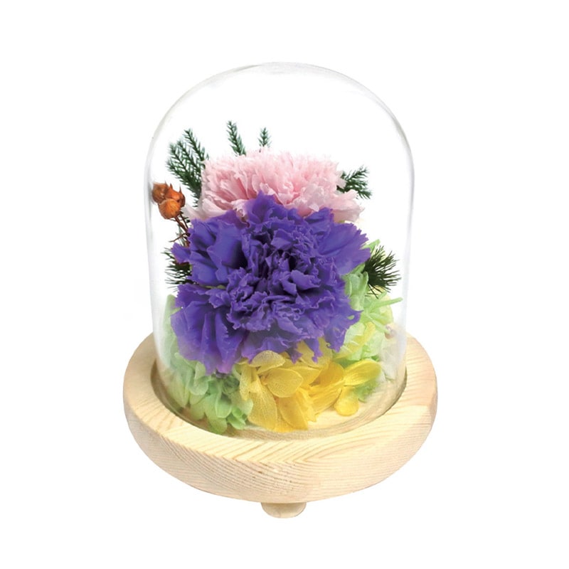 SOUP�����������饹�ɡ��ॢ��󥸥��ȡ��Ϥ�ʤ��ץꥶ���֥ɥե����ޤ꤫