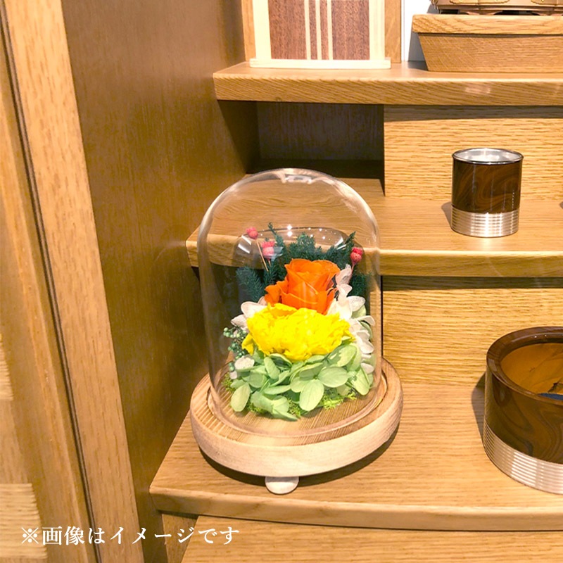 SOUP�����������饹�ɡ��ॢ��󥸥��ȡ��Ϥ�ʤ��ץꥶ���֥ɥե����ޤ꤫