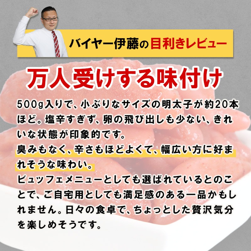 �� ������ ������ �� �ӥ�åե��ǿ͵��� ���褤�ɤ� �� �ɤ����ޤ��� �� �� �ɻ������� 500g 1�ѥå� SK851003