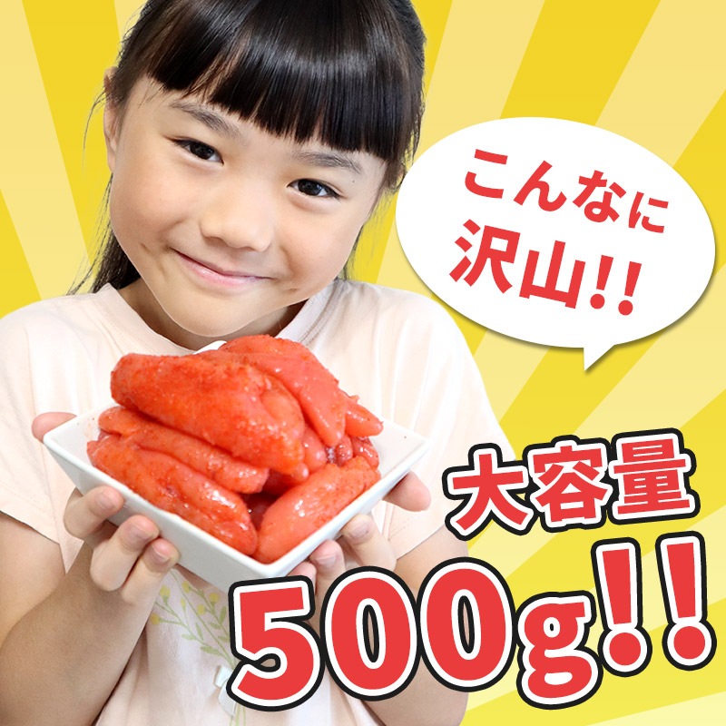 �� ������ ������ �� �ӥ�åե��ǿ͵��� ���褤�ɤ� �� �ɤ����ޤ��� �� �� �ɻ������� 500g 2�ѥå� SK851003W