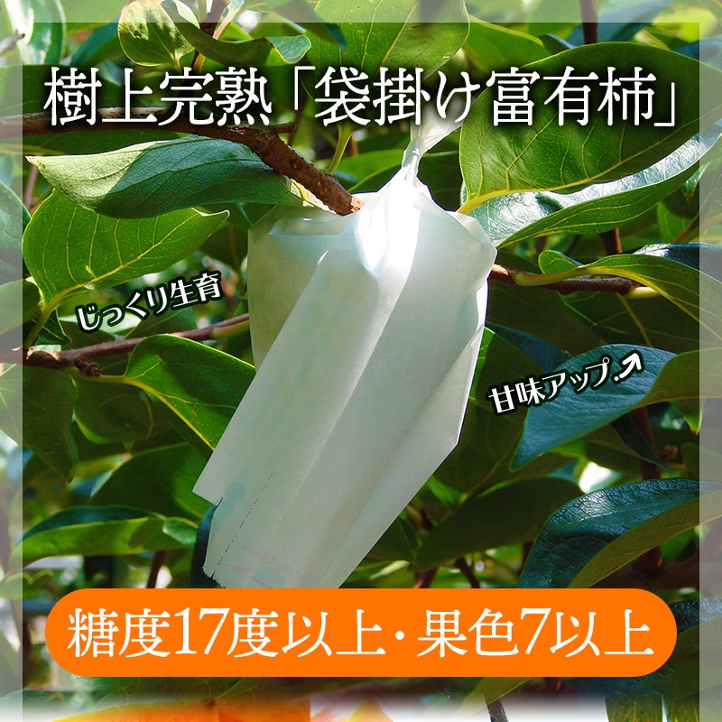 ͽ 2025ǯ12ܡ12ܤϤ   2025 츩 崰 ޳ݤͭ 2L 3kg SFFF2L12