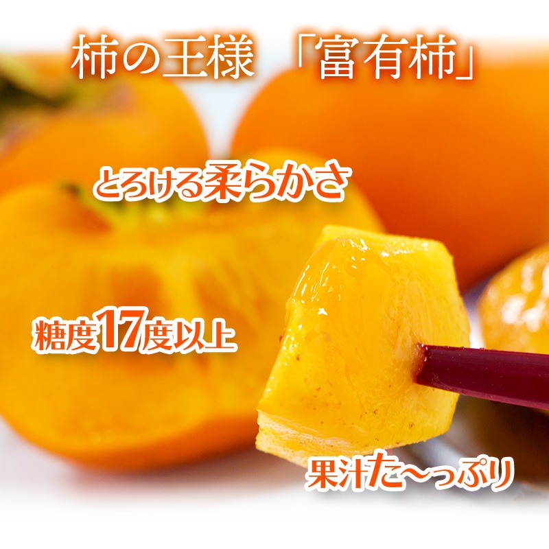 ͽ 2025ǯ12ܡ12ܤϤ   2025 츩 崰 ޳ݤͭ 2L 3kg SFFF2L12