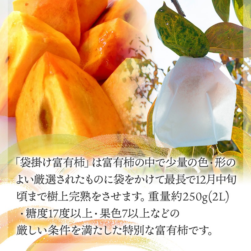 ͽ 2025ǯ12ܡ12ܤϤ   2025 츩 崰 ޳ݤͭ 2L 3kg SFFF2L12