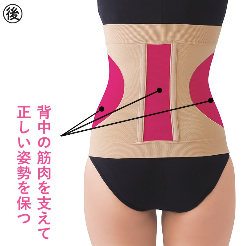 ڤ椦ѥåȡ ݡ 3L4Lʥȡ85101ѡ