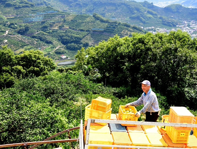 �ޤȤ��㤤�� ������ 2025 �²λ� ��ƣ���� 4��δ��̥��塼�� 180ml��8��