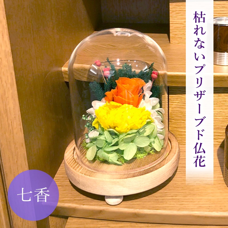 SOUP�����������饹�ɡ��ॢ��󥸥��ȡ��Ϥ�ʤ��ץꥶ���֥ɥե�������ʤʤʤ���