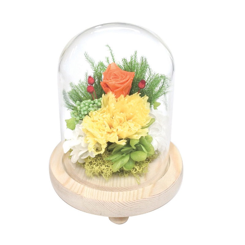 SOUP�����������饹�ɡ��ॢ��󥸥��ȡ��Ϥ�ʤ��ץꥶ���֥ɥե�������ʤʤʤ���