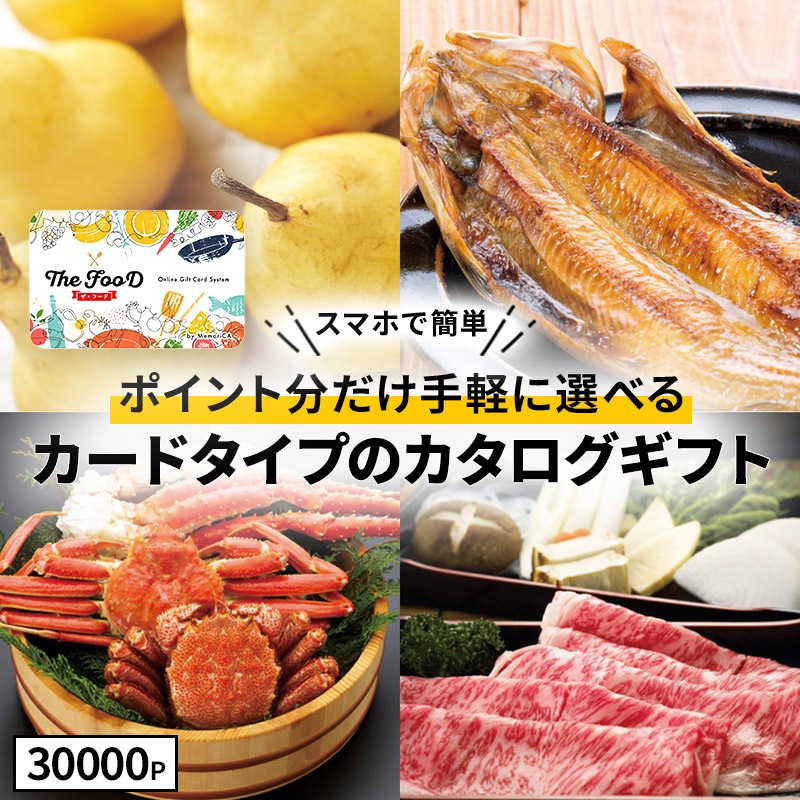 ���渵 2026 �����������ե� �����ɥ����� TheFooD ���ꥫ LRPT30000 MemoriCA ���渵