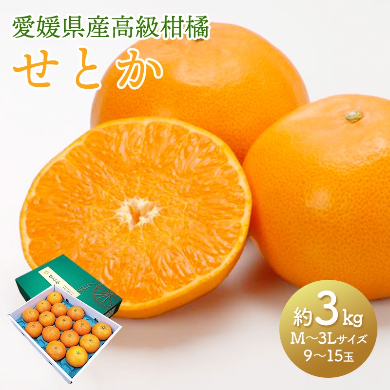 ��2026ǯ2��ܡ�3����ܤ��Ϥ��� ��ɲ���� ���Ȥ� ��3kg �� M��3L������ 9��15�� ��