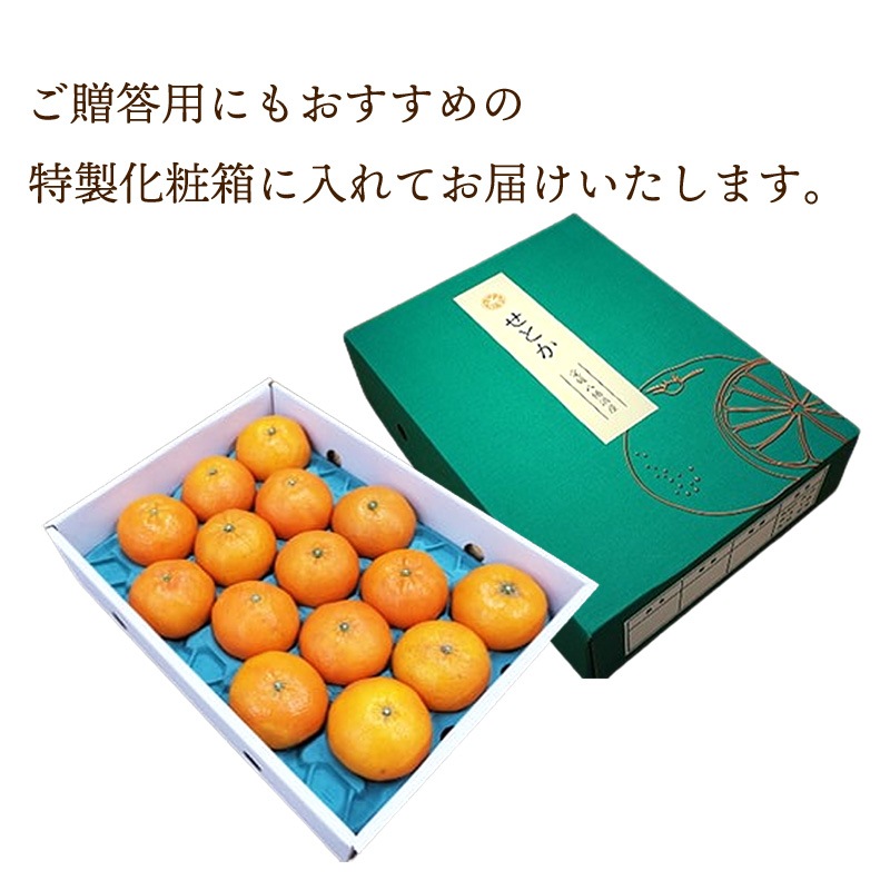 ��2026ǯ2��ܡ�3����ܤ��Ϥ��� ��ɲ���� ���Ȥ� ��3kg �� M��3L������ 9��15�� ��