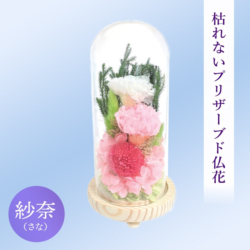 SOUP�����������饹�ɡ��ॢ��󥸥��ȡ��Ϥ�ʤ��ץꥶ���֥ɥե�������ʤ��ʡ�