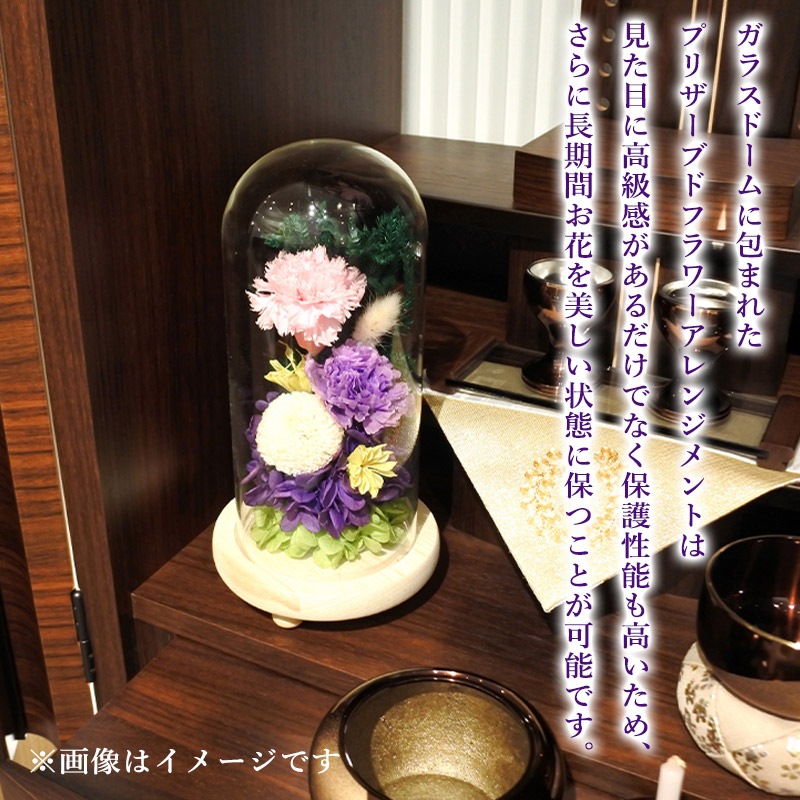 SOUP�����������饹�ɡ��ॢ��󥸥��ȡ��Ϥ�ʤ��ץꥶ���֥ɥե�������ʤ��ʡ�