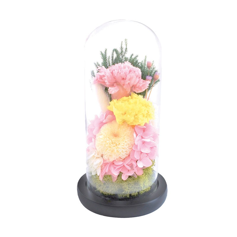 SOUP�����������饹�ɡ��ॢ��󥸥��ȡ��Ϥ�ʤ��ץꥶ���֥ɥե�������ʤ�����