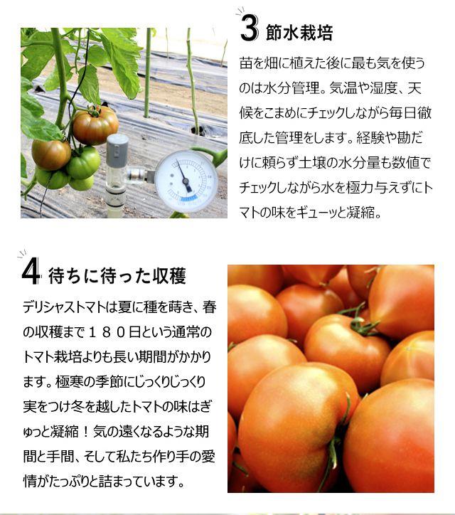 �ǥꥷ�㥹�ե����� ����Х饨�ƥ����å�