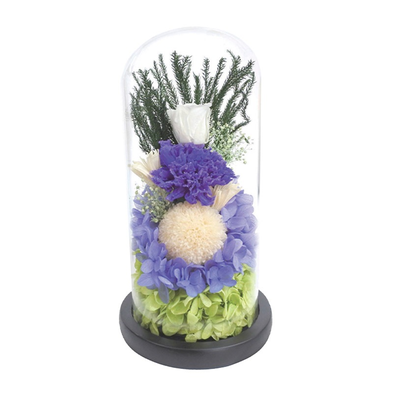 SOUP�����������饹�ɡ��ॢ��󥸥��ȡ��Ϥ�ʤ��ץꥶ���֥ɥե������¡ʤ����