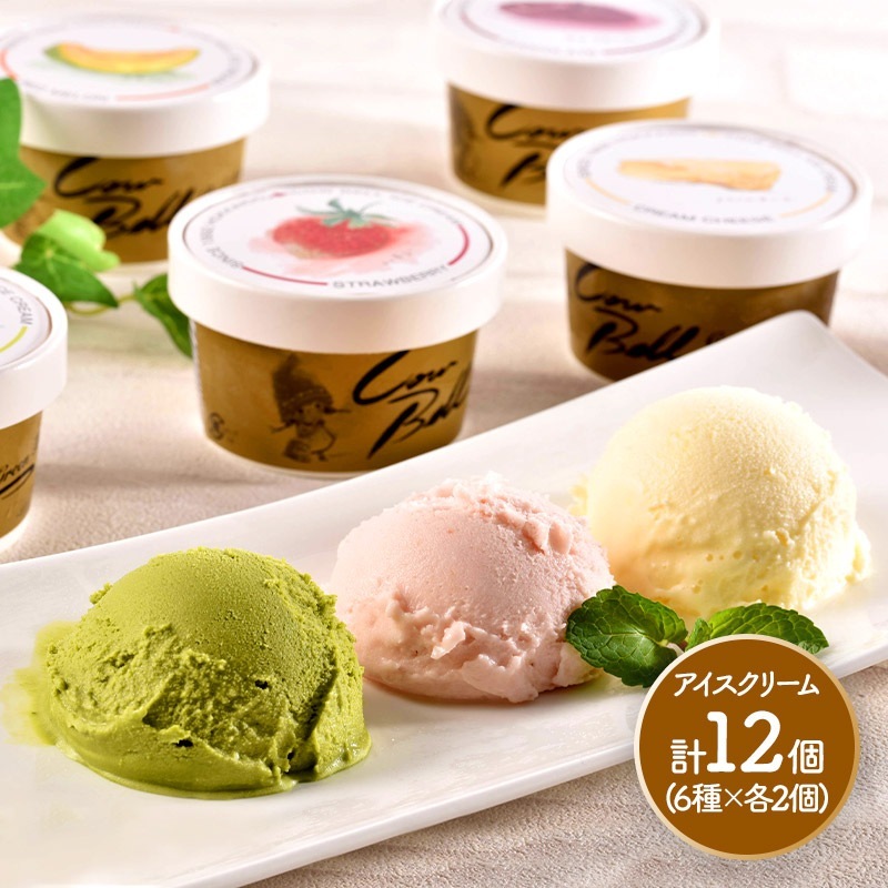 早割 お歳暮 2025 北海道カウベルアイスセット（6種・計12個