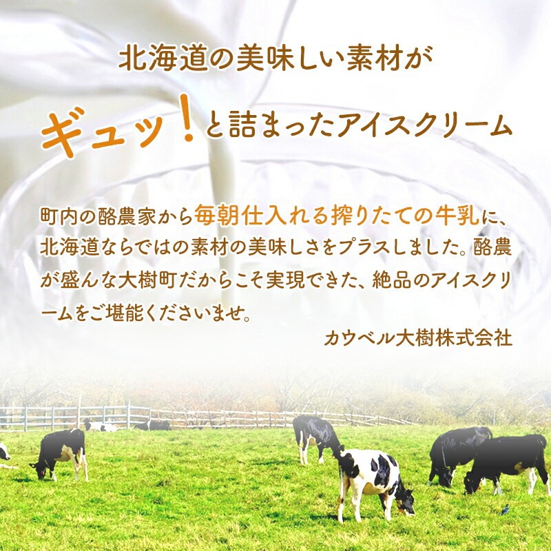 ����� 2026 �̳�ƻ�����٥륢�������åȡ�6���12�ġ�