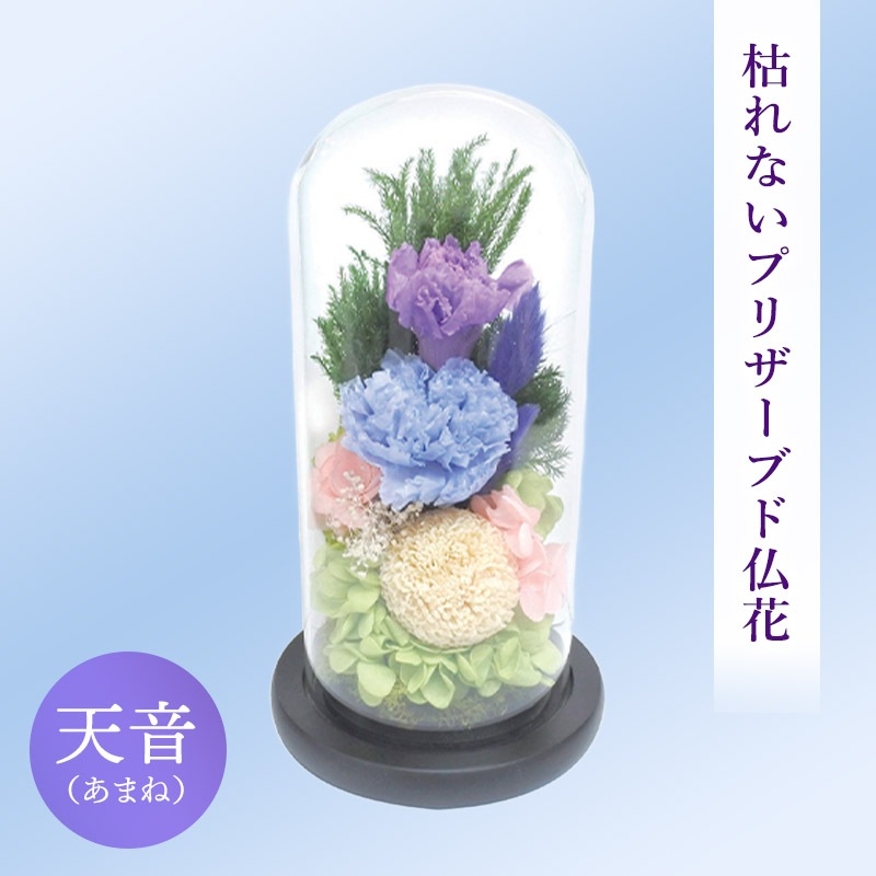 SOUP�����������饹�ɡ��ॢ��󥸥��ȡ��Ϥ�ʤ��ץꥶ���֥ɥե���ŷ���ʤ��ޤ͡�