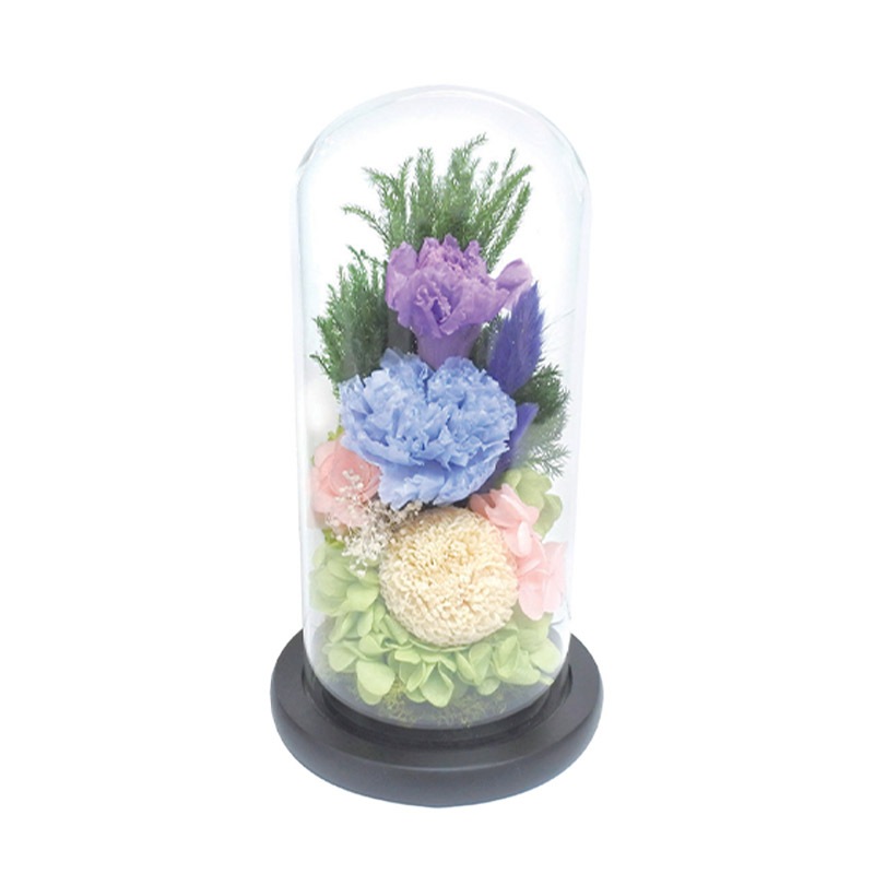 SOUP�����������饹�ɡ��ॢ��󥸥��ȡ��Ϥ�ʤ��ץꥶ���֥ɥե���ŷ���ʤ��ޤ͡�