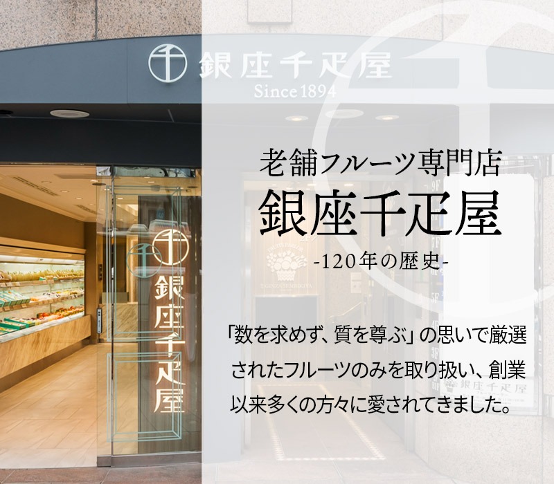 �Х�󥿥��� 2026 �����ɥ�� ��¥��祳��֥饦�ˡ� ľ��15cm 5�� SKX007