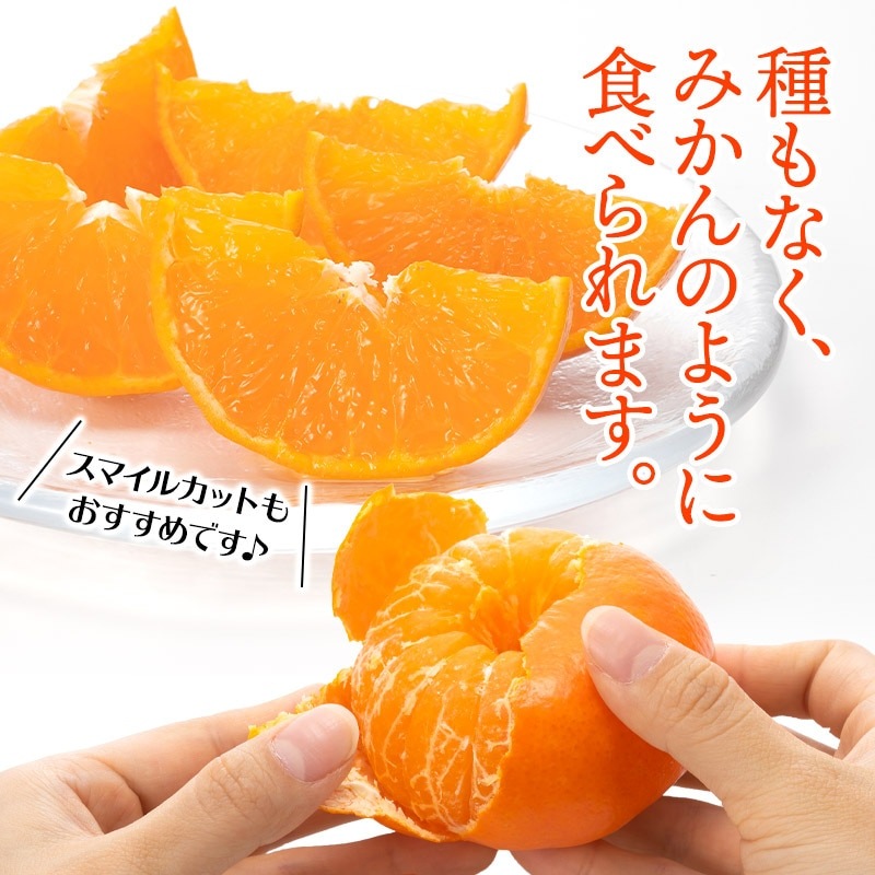 ��2026ǯ2����ܡ�3���ܤ��Ϥ��� ���츩�� �Ϥޤ��� �� 2kg (L��M������ 11��14��)  JA�����