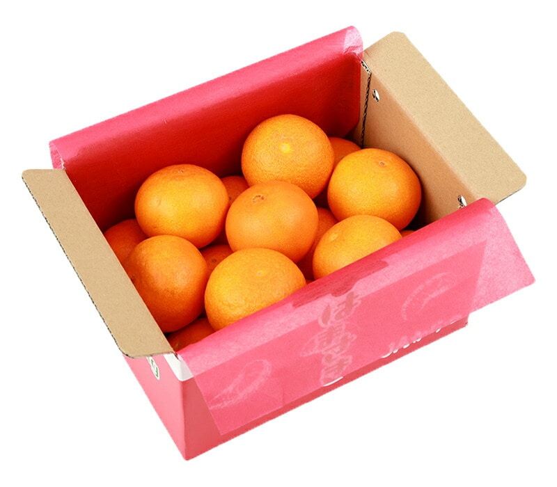 ��2026ǯ2����ܡ�3���ܤ��Ϥ��� ���츩�� �Ϥޤ��� �� 3kg (L��M������ 17��21��)  JA�����