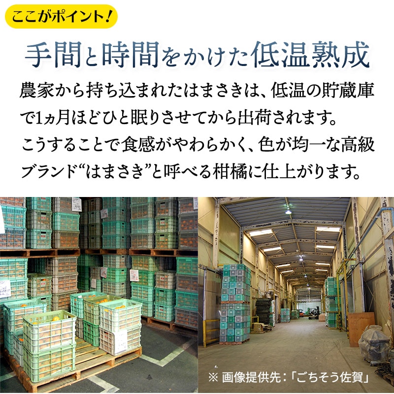 ��2026ǯ2����ܡ�3���ܤ��Ϥ��� ���츩�� �Ϥޤ��� �� 3kg (L��M������ 17��21��)  JA�����