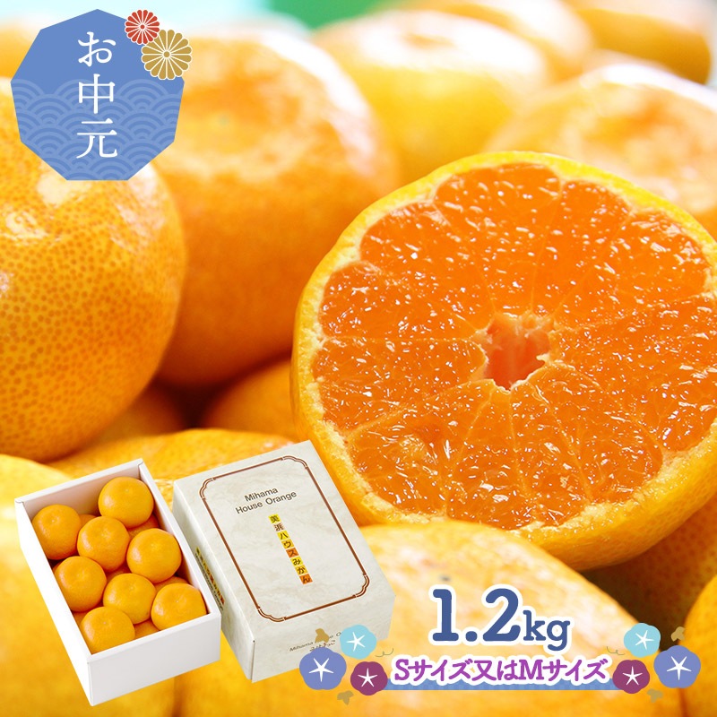 �ޤȤ��㤤�� ���渵 2026 �� 2026/7/10��8/10���Ϥ� �� �ߤϤޤä� �����ߤ��� 1.2kg CG068 ���渵