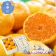 �ޤȤ��㤤�� ���渵 2026 �� 2026/7/10��8/10���Ϥ� �� �ߤϤޤä� �����ߤ��� 1.2kg CG068 ���渵