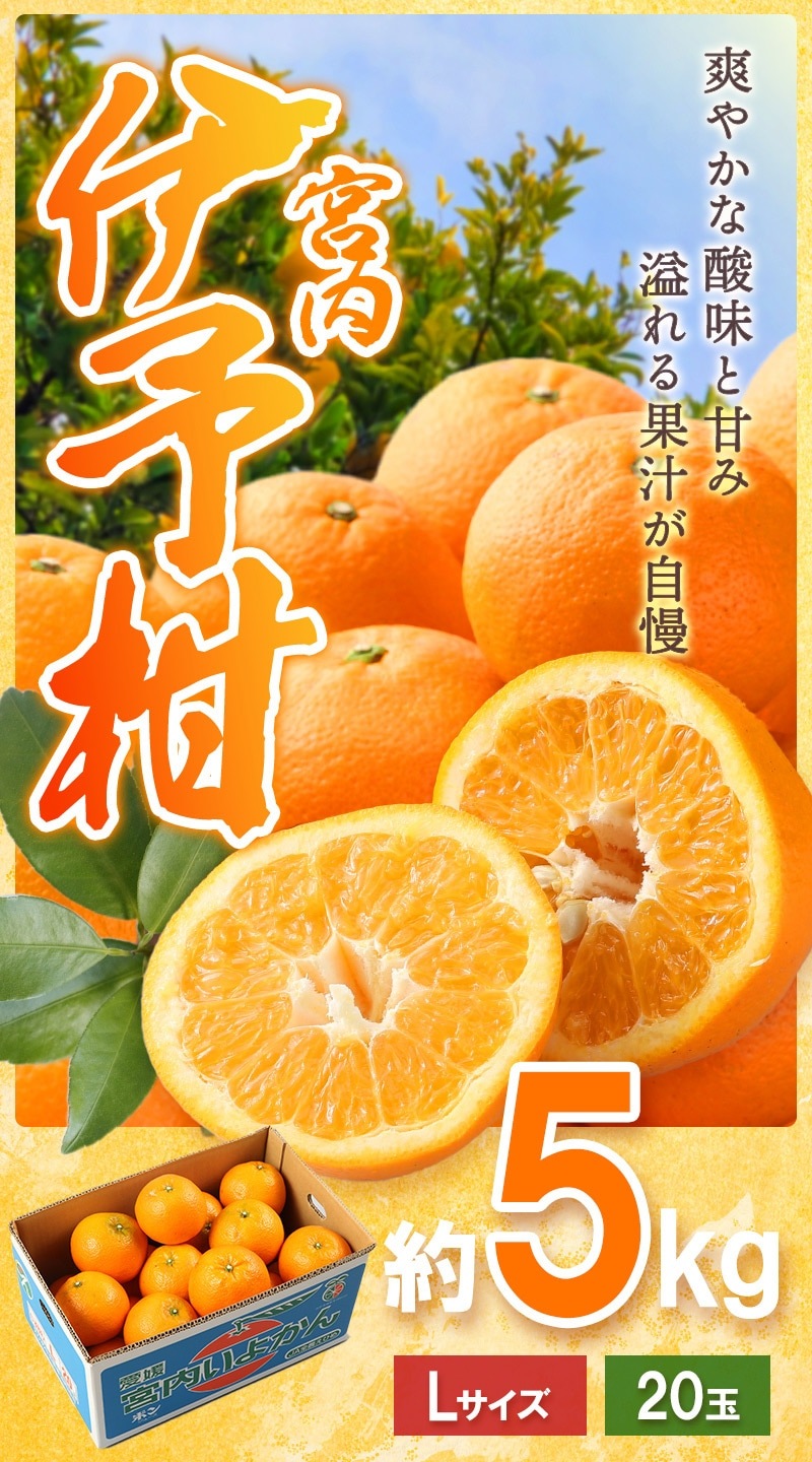 ��2026ǯ2���ܡ����ܤ��Ϥ��� ��ɲ���� �����ͽ�� L������ 20�̵�  (�� 5kg ) ��JA���Ҥ������