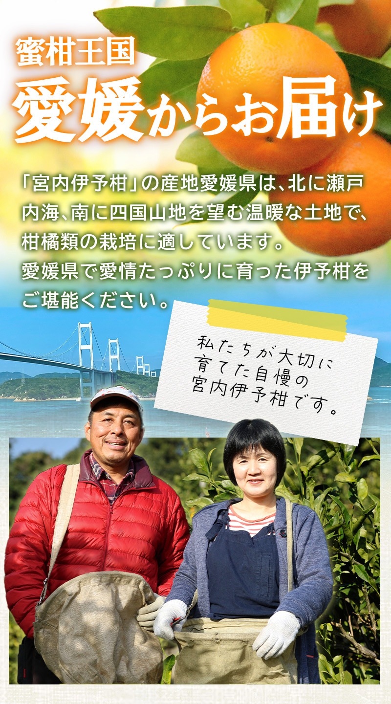 ��2026ǯ2���ܡ����ܤ��Ϥ��� ��ɲ���� �����ͽ�� L������ 20�̵�  (�� 5kg ) ��JA���Ҥ������