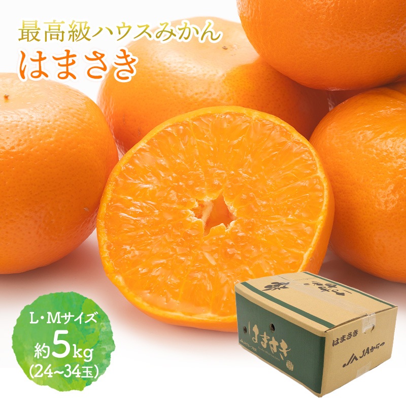 ��2026ǯ2����ܡ�3���ܤ��Ϥ��� ���츩�� �Ϥޤ��� ��5kg (L��M������ 24��34��)  JA�����