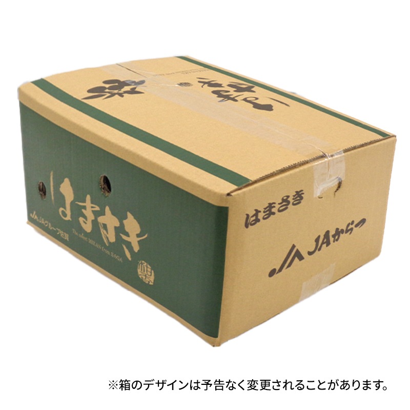 ��2026ǯ2����ܡ�3���ܤ��Ϥ��� ���츩�� �Ϥޤ��� ��5kg (L��M������ 24��34��)  JA�����