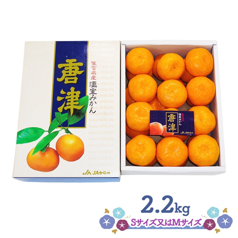 �ޤȤ��㤤�� ���渵 2026 �� 2026/7/10��8/10���Ϥ� �� ���Ų����ߤ��� 2.2Kg CG072 ���渵