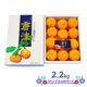 �ޤȤ��㤤�� ���渵 2026 �� 2026/7/10��8/10���Ϥ� �� ���Ų����ߤ��� 2.2Kg CG072 ���渵