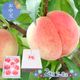 �� ���渵 2026/7/25��8/10���Ϥ��� Ĺ�� �� �� 7��8�̡� 2kg �� CG073 ���渵