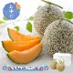 �ޤȤ��㤤�� ���渵 2026 �� 2026/6/25��9/10���Ϥ��� �̳�ƻ ��������� 2�� SN0000-020101 ���渵