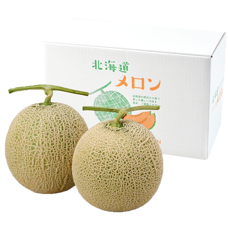 ��� �� ���渵 2026/6/25��9/10���Ϥ��� �̳�ƻ ��������� ����� 2�� SN0000-020106 ���渵