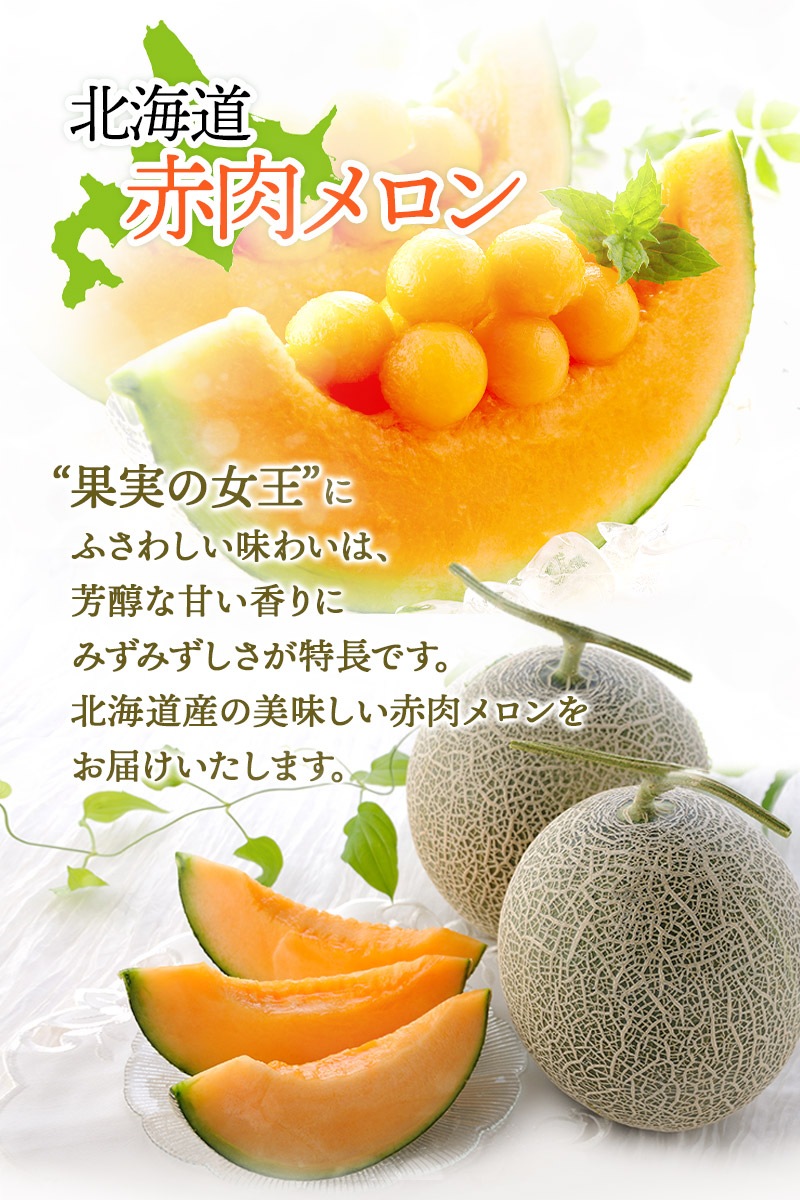 ��� �� ���渵 2026/6/25��9/10���Ϥ��� �̳�ƻ ��������� ����� 2�� SN0000-020106 ���渵