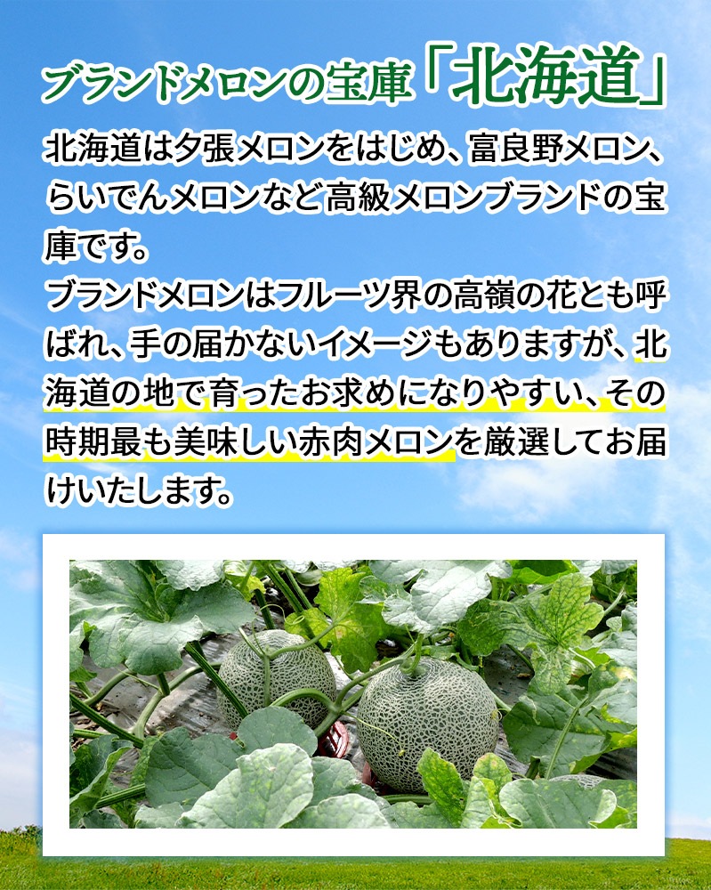 ��� �� ���渵 2026/6/25��9/10���Ϥ��� �̳�ƻ ��������� ����� 2�� SN0000-020106 ���渵