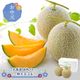 ��� �� ���渵 2026/6/25��9/10���Ϥ��� �̳�ƻ ��������� ����� 2�� SN0000-020106 ���渵
