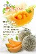 ��� �� ���渵 2026/6/25��9/10���Ϥ��� �̳�ƻ ��������� ����� 2�� SN0000-020106 ���渵