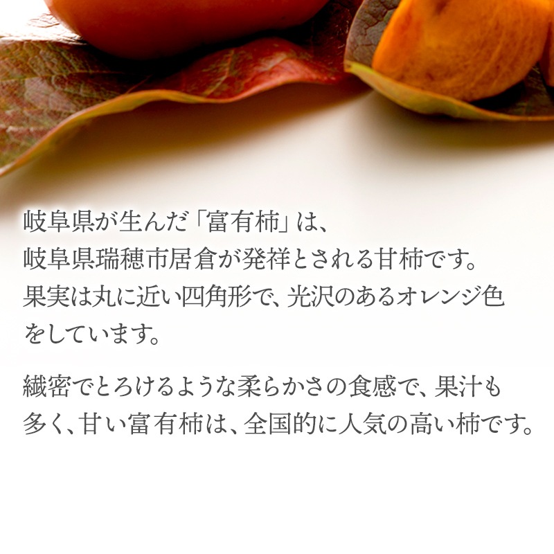 ͽ 2025ǯ11ܡ12ܤϤ 츩 ͭ L 14 (ʤԲ) 3kg