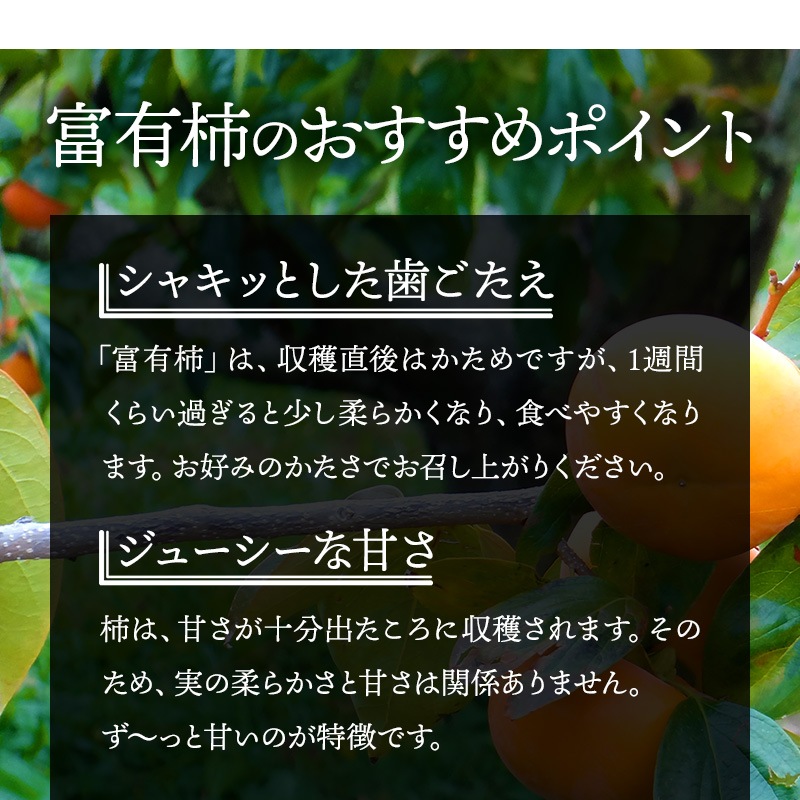 ͽ 2025ǯ11ܡ12ܤϤ 츩 ͭ L 14 (ʤԲ) 3kg