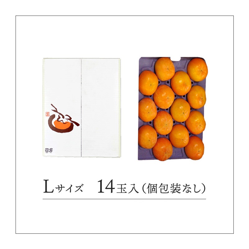 ͽ 2025ǯ11ܡ12ܤϤ 츩 ͭ L 14 (ʤԲ) 3kg