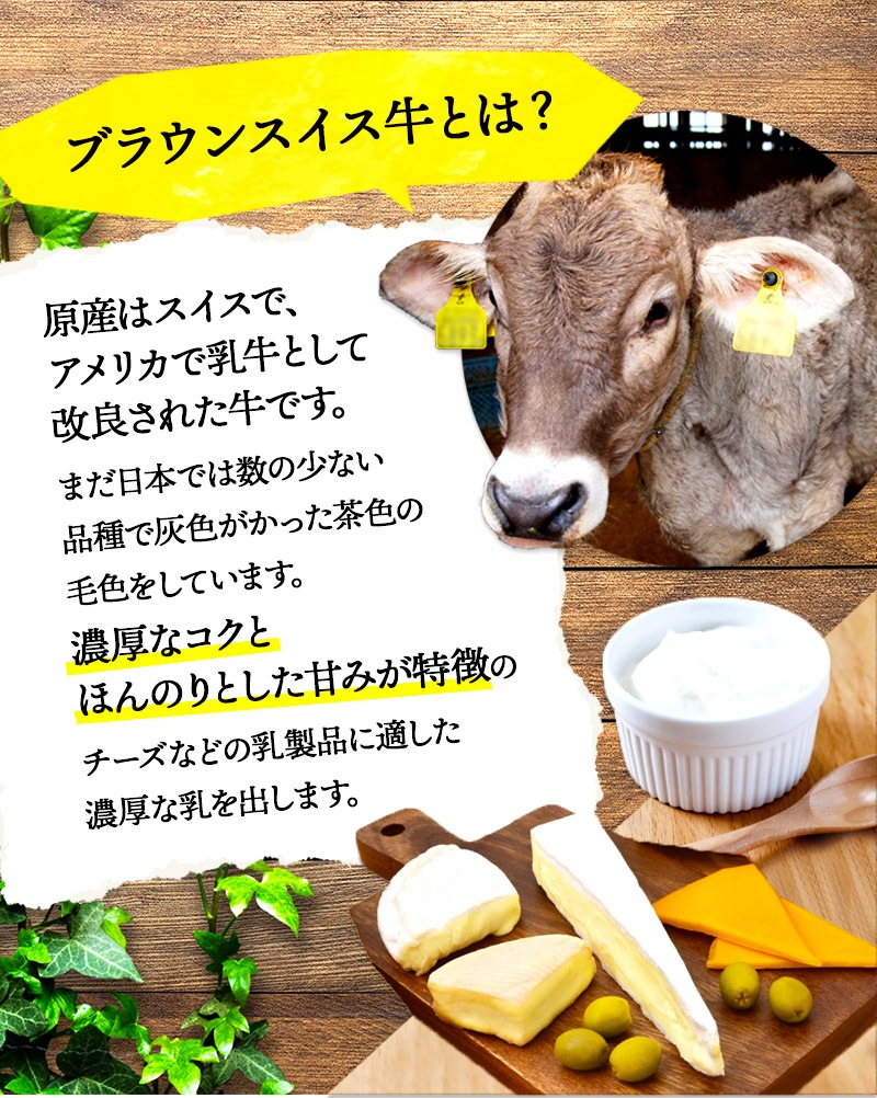 �ۥ磻�ȥǡ� 2026 �̳�ƻ ���������Ҿ� �ץ�ߥ��ॽ�ե�