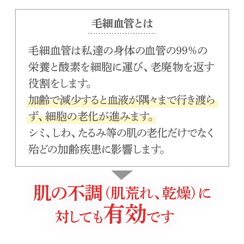 ������������� Angelica �´��ɥ�� 50�� �򹯿���